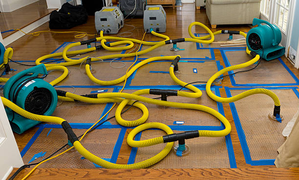 Professional Water Damage Restoration technician working in Wilder, KY